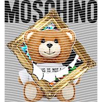 Brand Catalog-ZX 736